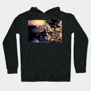 Where fairies dream. Hoodie